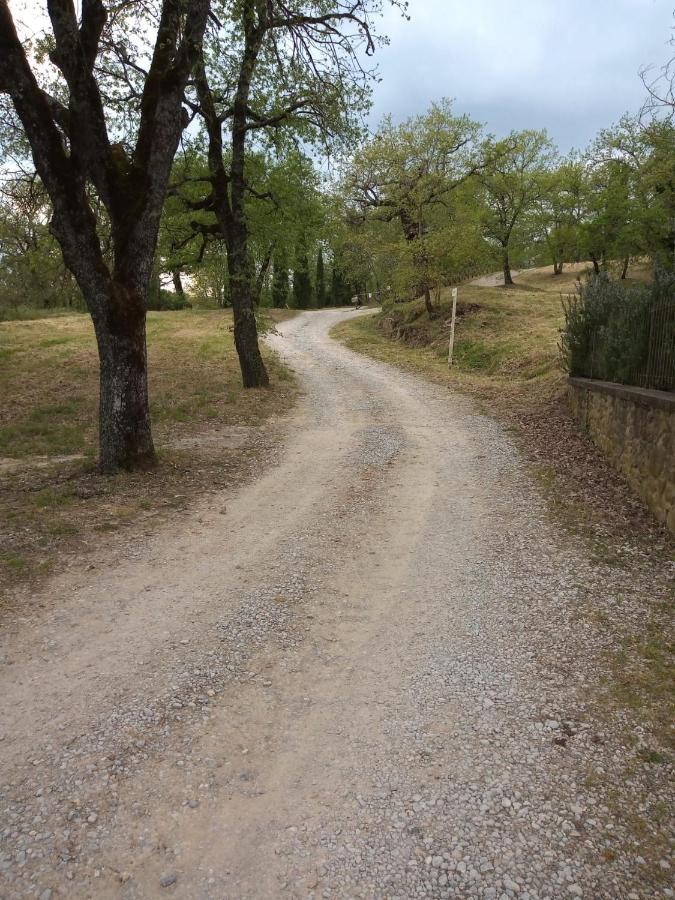 Agriturismo L'Incrociata Bucine ภายนอก รูปภาพ